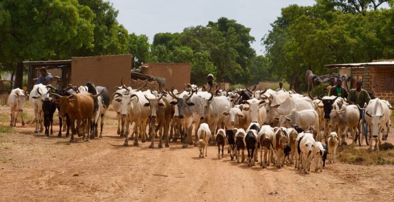 VIRTUAL PLANNING WORKSHOP FOR GLOBAL ONE HEALTH VETERINARY BIOLOGICAL SAFETY & SECURITY SUMMIT